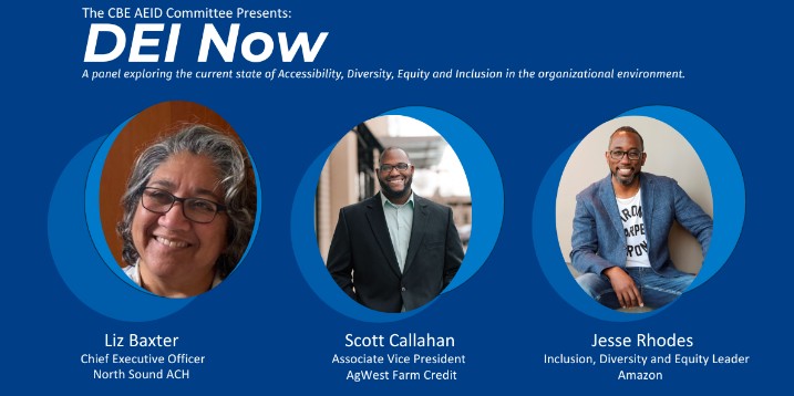CBE DEI Panel